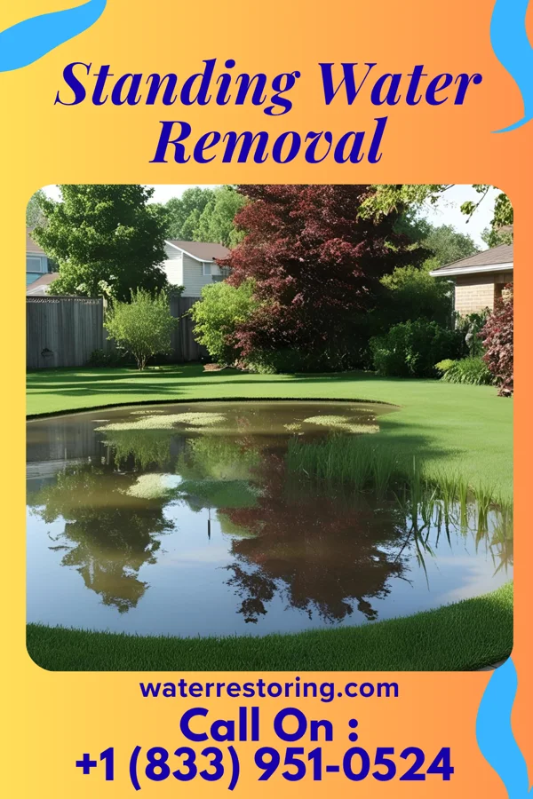 Standing Water Removal in Campbell's Island, IL